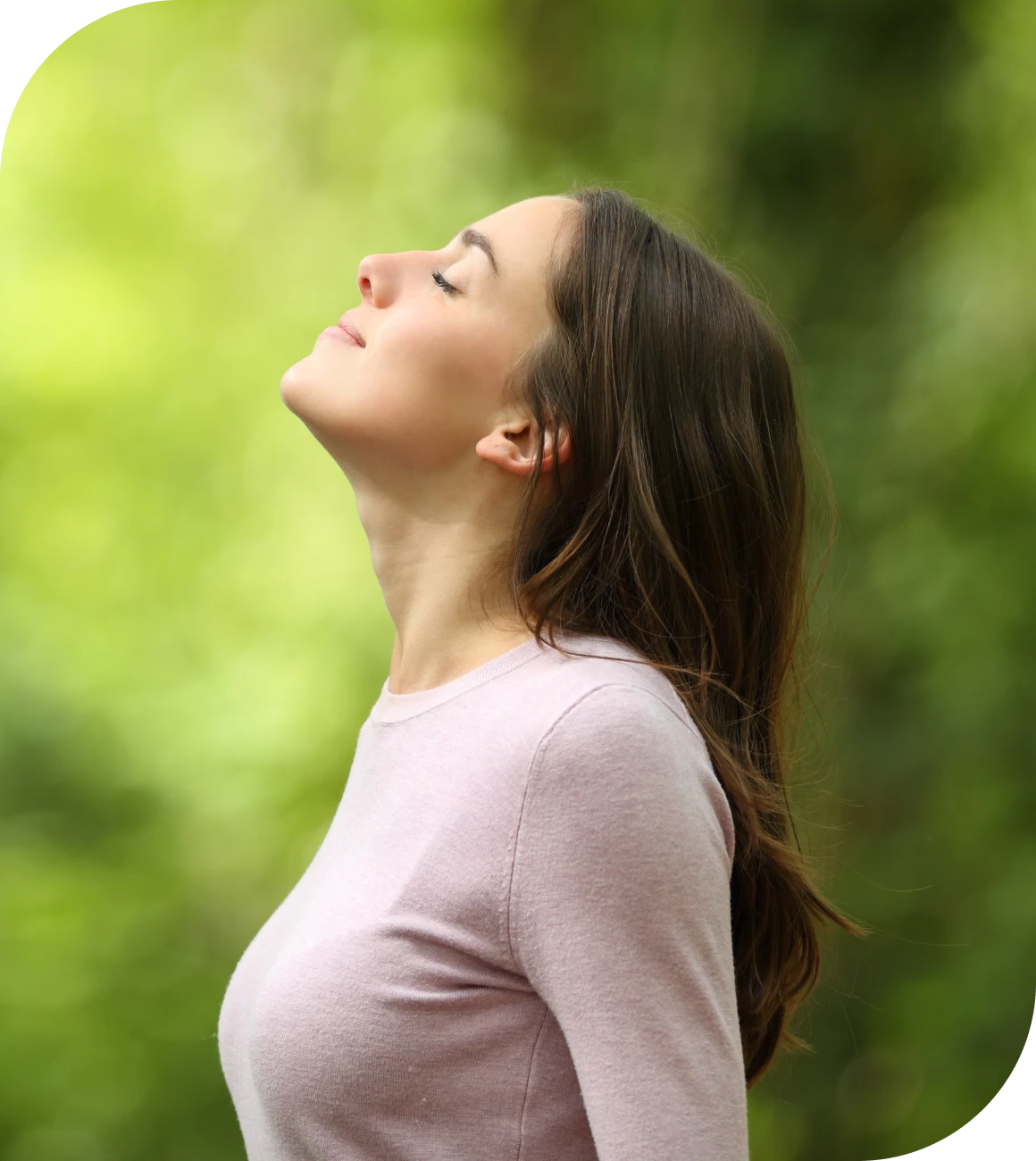 Peaceful moment in the forest