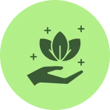 Hand holding leaves icon